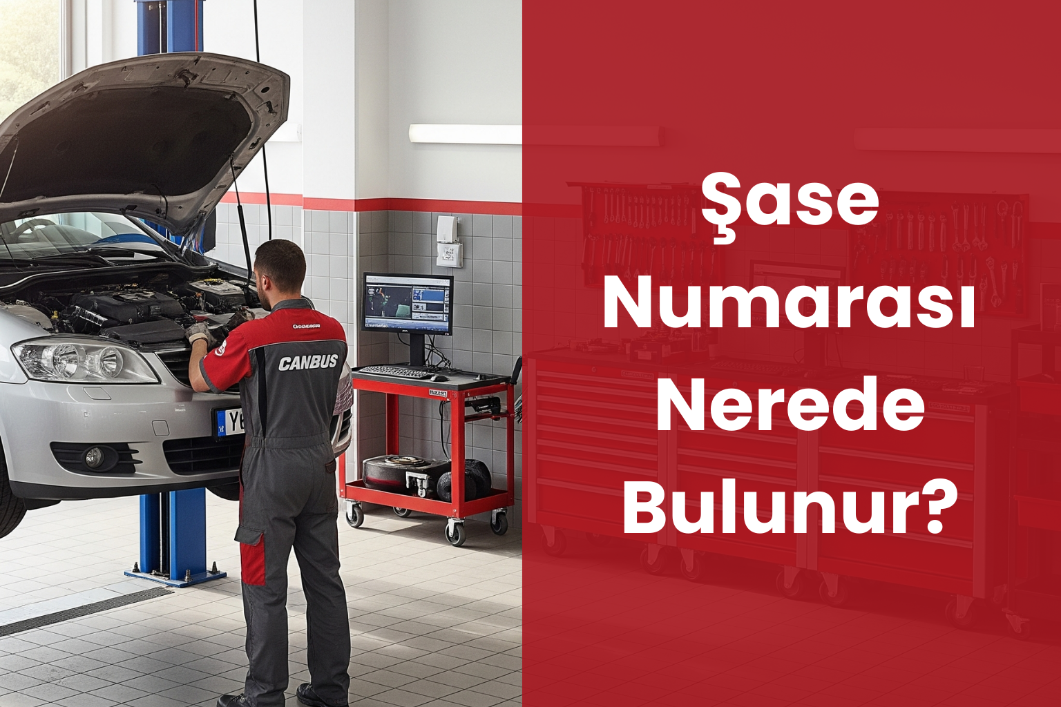 Şase Numarası Nerede Bulunur?